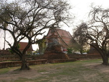 RIMG0163