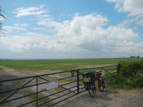 DSCN4681