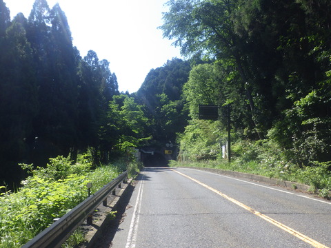 RIMG8595