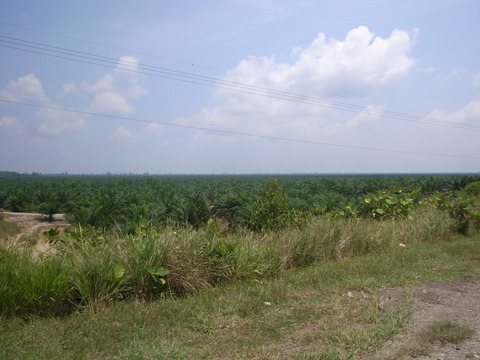 RIMG0136