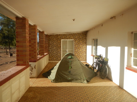 DSCN5390