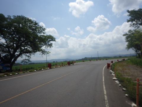RIMG5183