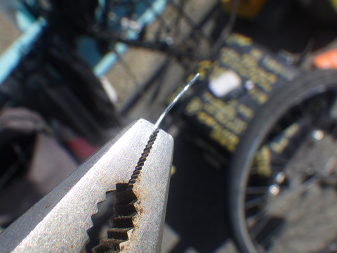 RIMG4394