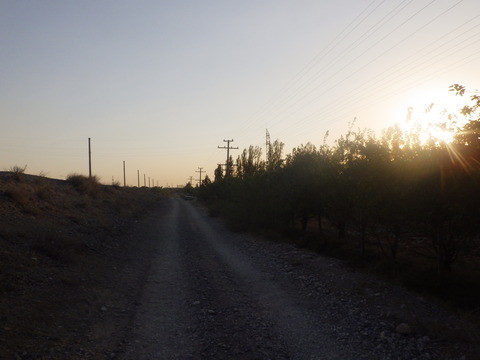 RIMG2940