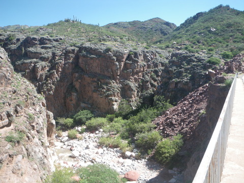 IMGP0239