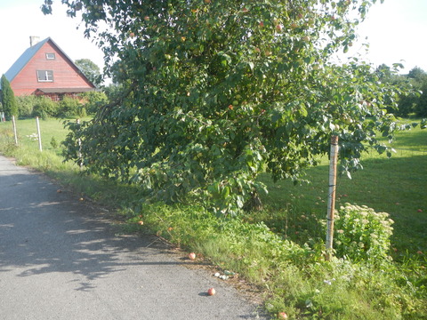 DSCN7357
