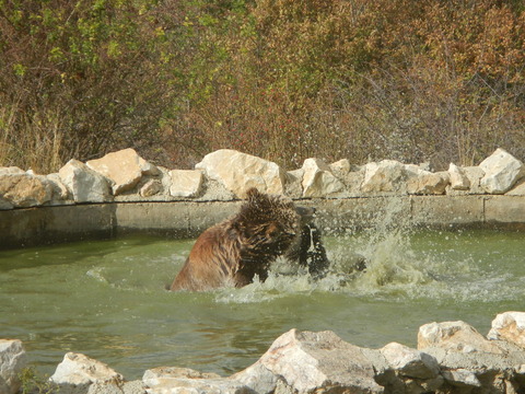 DSCN3566