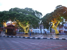 RIMG0081