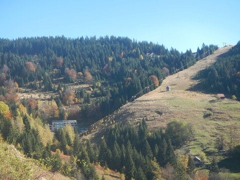 DSCN3452