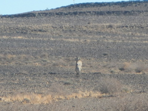 DSCN5521