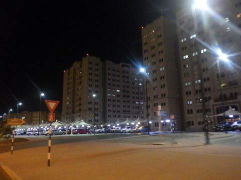 RIMG0356