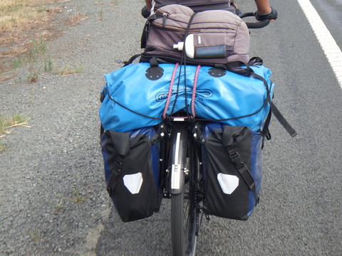 RIMG3501