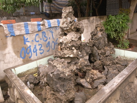 RIMG0140 1