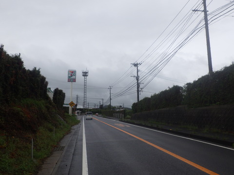 RIMG7946