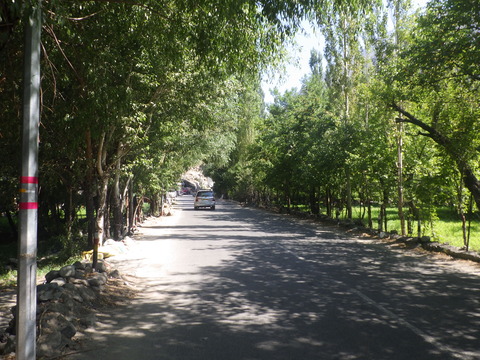RIMG5251
