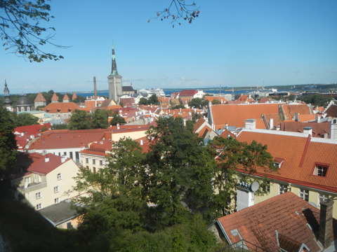DSCN7258