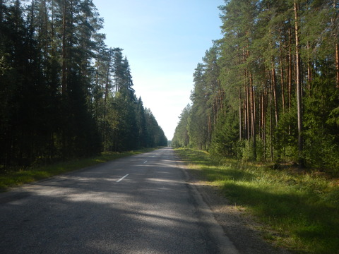 DSCN7376