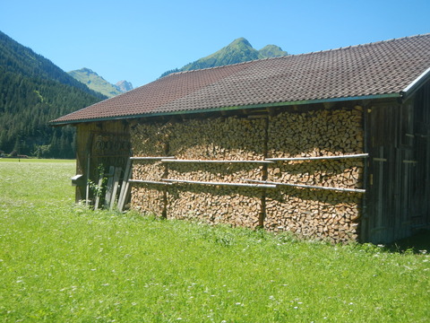 DSCN0594