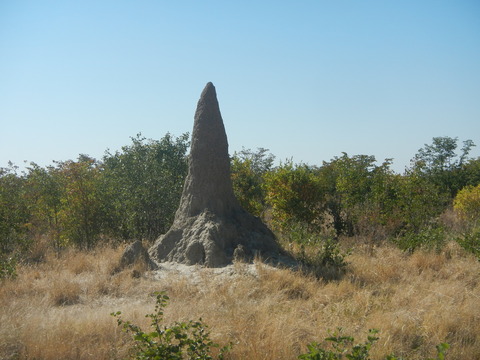 DSCN4656