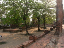 RIMG0118