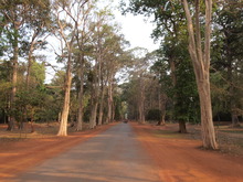P3110614