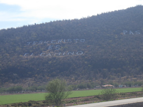 RIMG1754