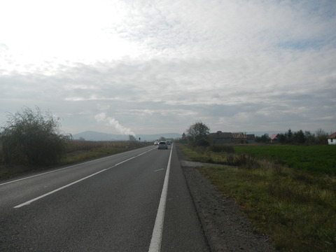 DSCN8344