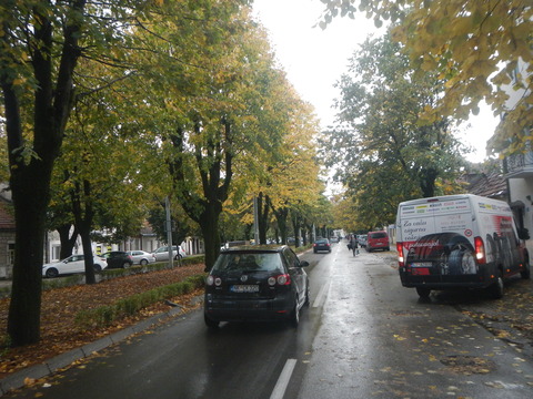 DSCN3350