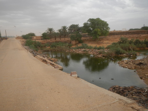 DSCN1295