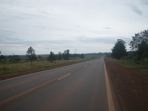 IMGP3360