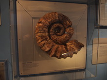 P1080225