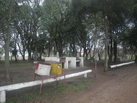 IMGP3259