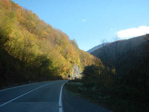 DSCN3421