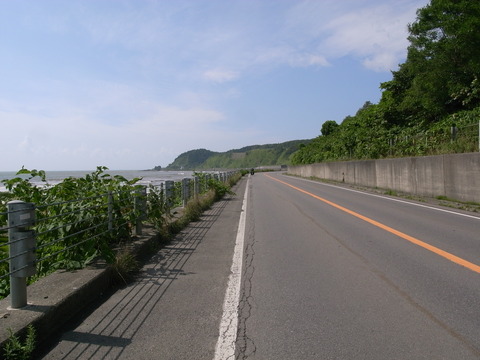 RIMG0008 1