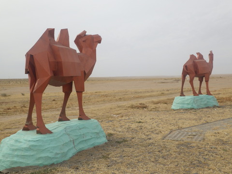 RIMG5466