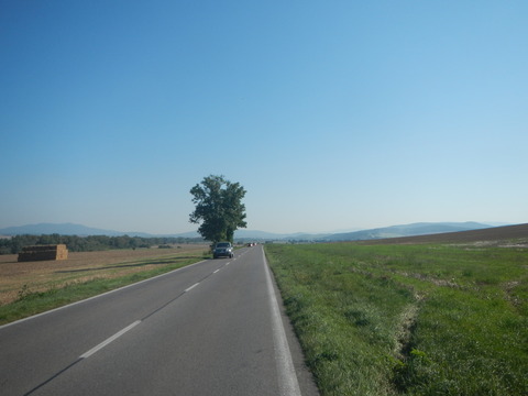 DSCN2099