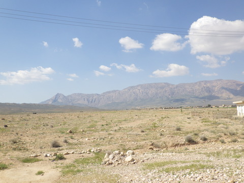 RIMG2543