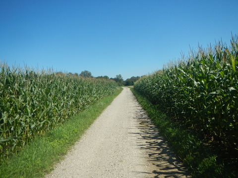 DSCN1070