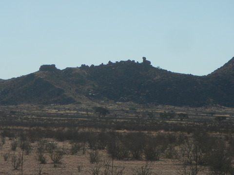 DSCN5319