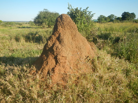 DSCN4158