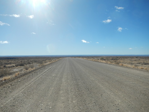 DSCN5375