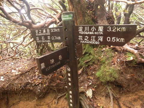 RIMG0086