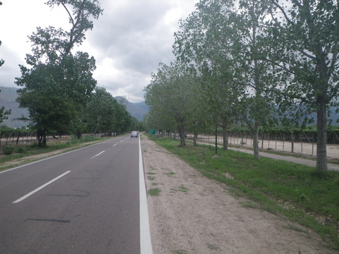 IMGP0100