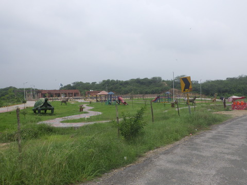 RIMG5775
