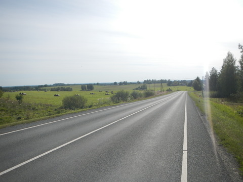 DSCN7350