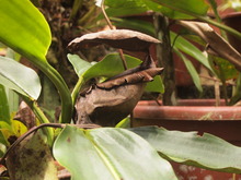 P8290070