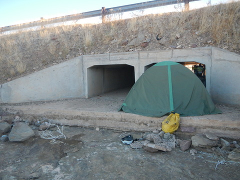 DSCN5442