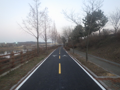 RIMG7294