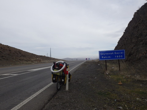 RIMG0825