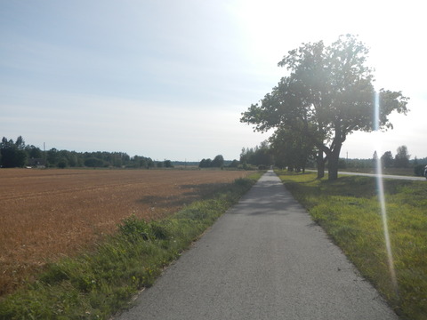 DSCN7354